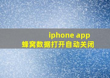 iphone app蜂窝数据打开自动关闭